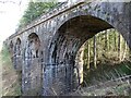 Carronhill Glen Viaduct