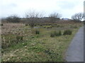 SH8076 : Boggy ground by the Ganol trail, RSPB Conwy by Christine Johnstone