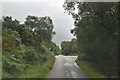 Trees along the NC500