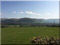 Farmland near Llanegryn