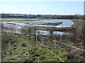 Field Pool, from Field Pool East hide