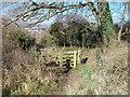 Gate on Stopsley Common