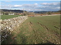 Field path, Caldbeck