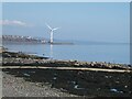 Shoreline at East Wemyss