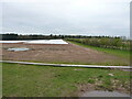 Field and a new hedge west of the track