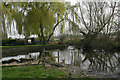 Confluence of streams, Eton Wick