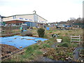 Blackswarth allotments