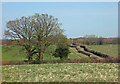 Countryside along Nags Head Lane