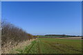 Bridleway past Welby Pastures Farm