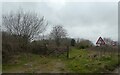 Gated track onto St Cleer Downs