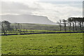 G7056 : Farmland, Mullaghmore by N Chadwick
