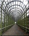 TQ1568 : Hampton Court - Gardens - Arched trellis tunnel by Rob Farrow