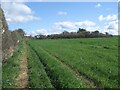 Public footpath between Kenfig and Heol-y-Broom (2)