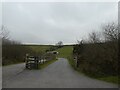 Road to Littleworth on Dozmary Downs