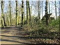 Path, The Warren, Bestwood Coiuntry Park