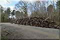 Log piles, Great Wood