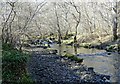 Looking along Horsleyhope Burn