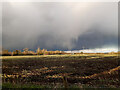 Rain clouds gathering