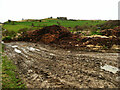 SE0919 : A nice manure heap and some lovely mud, Old Lindley by Humphrey Bolton