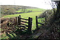 Llwybr Crugwyllt Fawr/ Crugwyll Fawr path