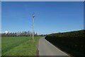 Electric cables crossing Brownmoor Lane