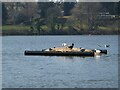 NT2587 : Artificial island in Kinghorn Loch by Oliver Dixon