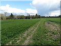 The Chiltern Way near Frogmore Farm