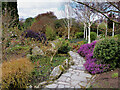SH8072 : Bodnant Garden, Winter Garden by David Dixon