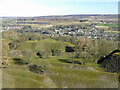 The east part of Newlandside (East) Quarry (7)