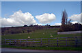 Field by West Lane, Baildon