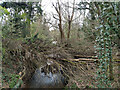 Burstow Stream upstream of Langshott bridge