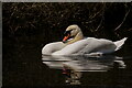 Waddon Ponds