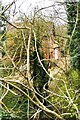 Stoke Bruerne Station through the trees