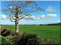 Petteril Hill farmland