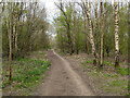 Bridleway 374 towards Weatherhill Common