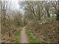 Bridleway 374 towards Weatherhill Common