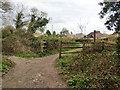 Bridleway 374 reaches Smallfield Road