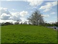 SE2931 : Open space at the bottom of Beeston Hill by Stephen Craven