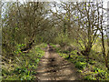 Peeks Brook Lane heading south