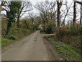 Peeks Brook Lane looking south