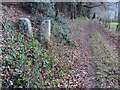 Stone Stile, Thrupp