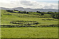 G6633 : Carrowmore Megalithic Cemetery by N Chadwick
