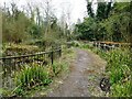 Berengrave Local Nature Reserve, Rainham