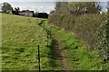 Path parallel to Hewelsfield Lane