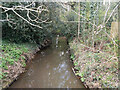 Burstow Stream downstream of Haroldslea Drive