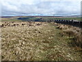 The Pennine Way near Mount Pleasant