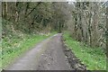 Path on former railway trackbed beside the Wye