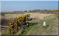 Parish Boundary in the Marshes