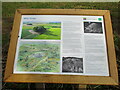 TA0672 : Willy  Howe  information  board by Martin Dawes