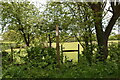 Footpath waymarker and stile